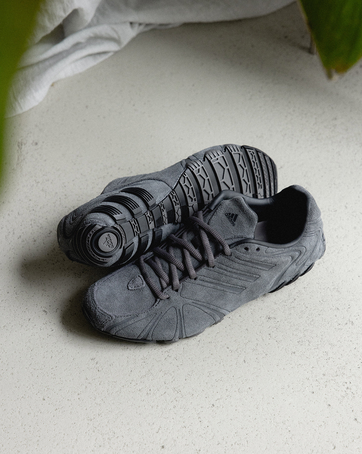 Adidas Ghost Sprint W - Image 2