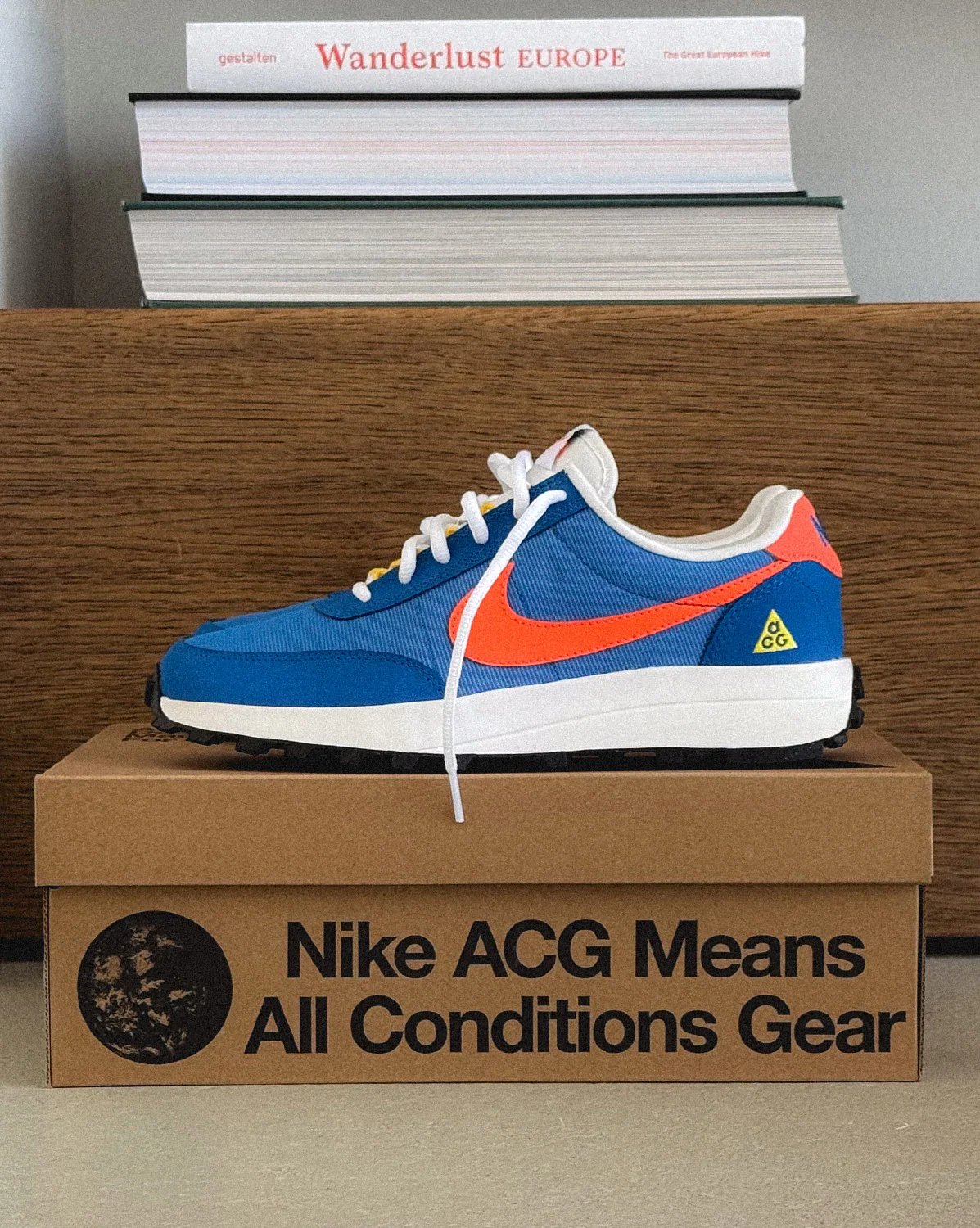 Nike ACG LDV - Image 2